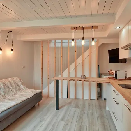 Duplex+terrasse De 90m² Limite Monaco, Commerces